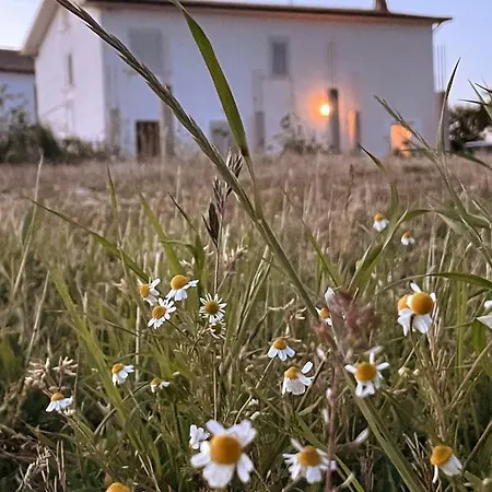 La Casa Degli Artisti *